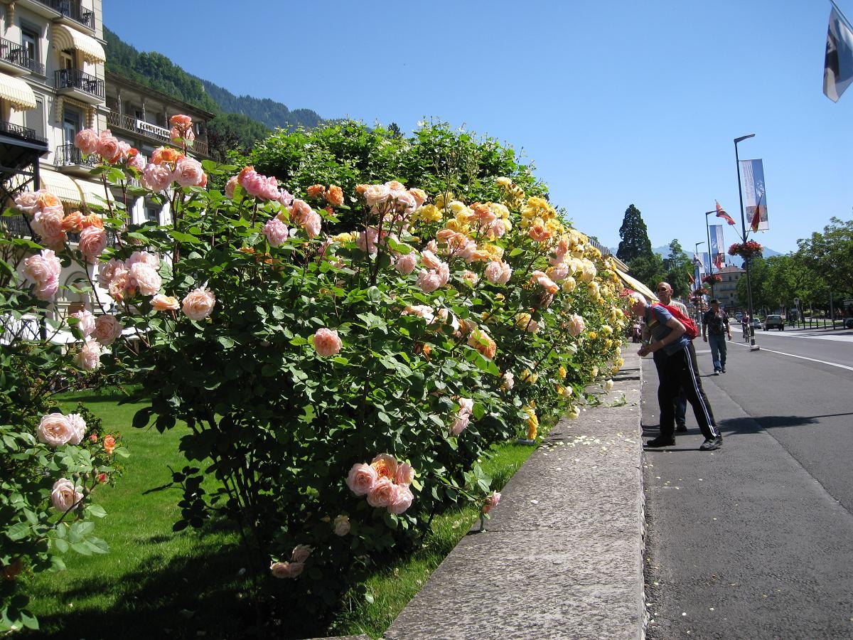 2012.6.12-21欧洲之旅 830.jpg