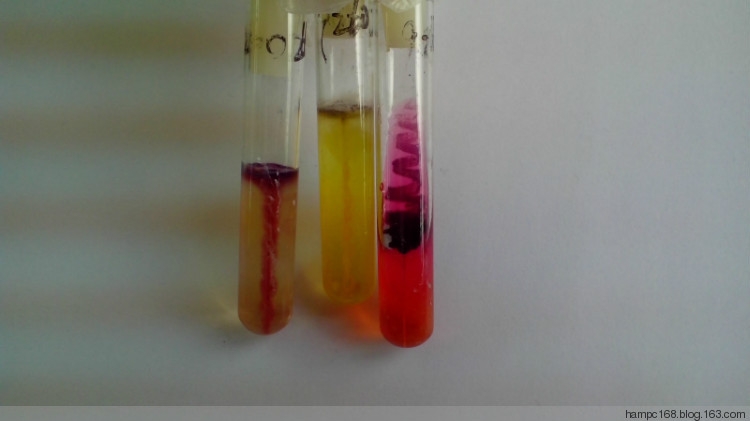 动力试验 双糖 O-F.jpg 动力试验 双糖 O-F.jpg