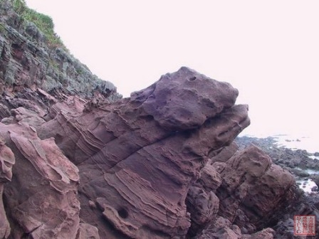 金龟望海 金龟望海